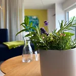 Seeblick Appartement Henle